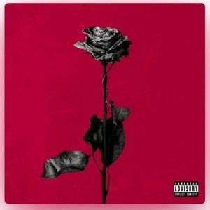 Meet your Posher, Chyna